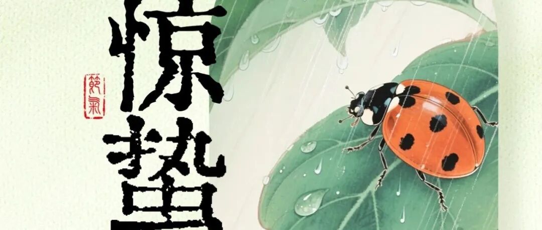 惊蛰:春雷响,万物长。愿所有美好与孩子一同苏醒。
