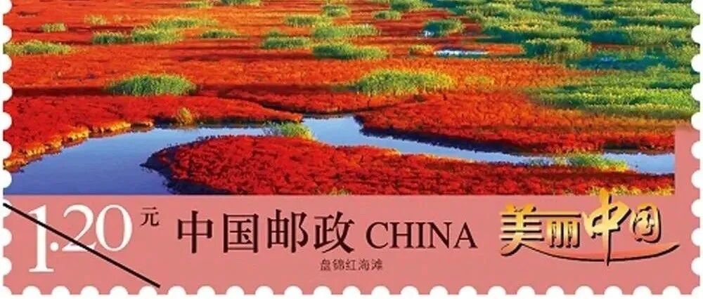 远方来信项目 |来信选登(四)