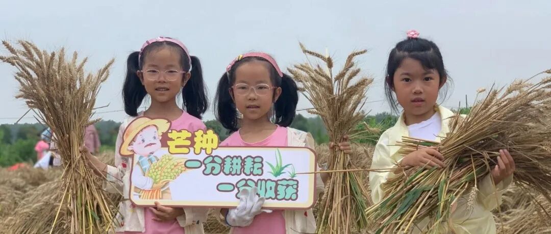 “节气24堂课-芒种&amp;耕读365”公益项目劳动教育主题实践活动在大圩镇开展